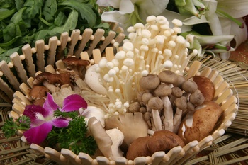 菌菇创意菜名图片
