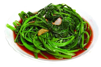 乳汁空心菜(241838)