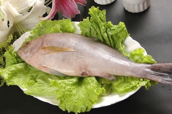 生猛海鲜黑鸡鱼(305656)