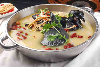 滋补龙凤汤甲鱼炖乌鸡要求靠前加特写(2384480)