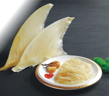 干捞大鲍翅(640974)