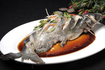清蒸钳鱼(3026886)