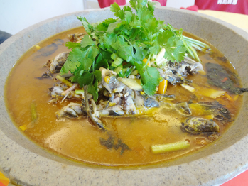 石锅黄骨鱼(234562)