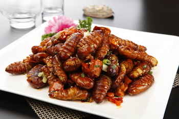 香酥蚕蛹(1178230)