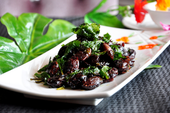 茶香岩豆(686019)