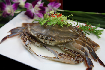 宁波咸膏蟹旺涛(578261)