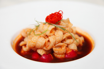 小酱浸鳄鱼肚梅湾清园(1021883)