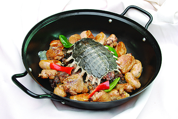 黄板甲鱼焖鸡腰(540684)