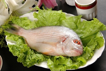 生猛海鲜方头鱼(305474)