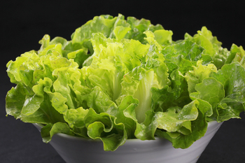 韩式烤生菜(2638989)