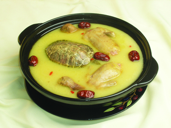 甲鱼乳鸽(539627)