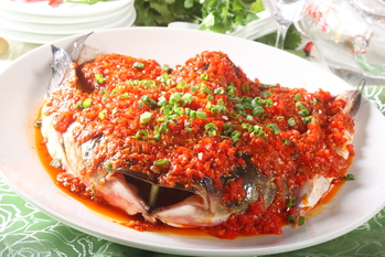 漫天红鱼头(483483)